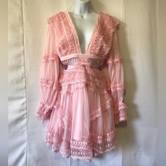 Rosevelvet Dresses & Skirts - Rosevelvet Pink Lace Mini Dress Long Sleeve Cutout Ruffle Hem Size M